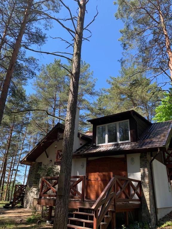 Дома для отпуска Domek wypoczynkowy w lesie nad jeziorem Оципель-45